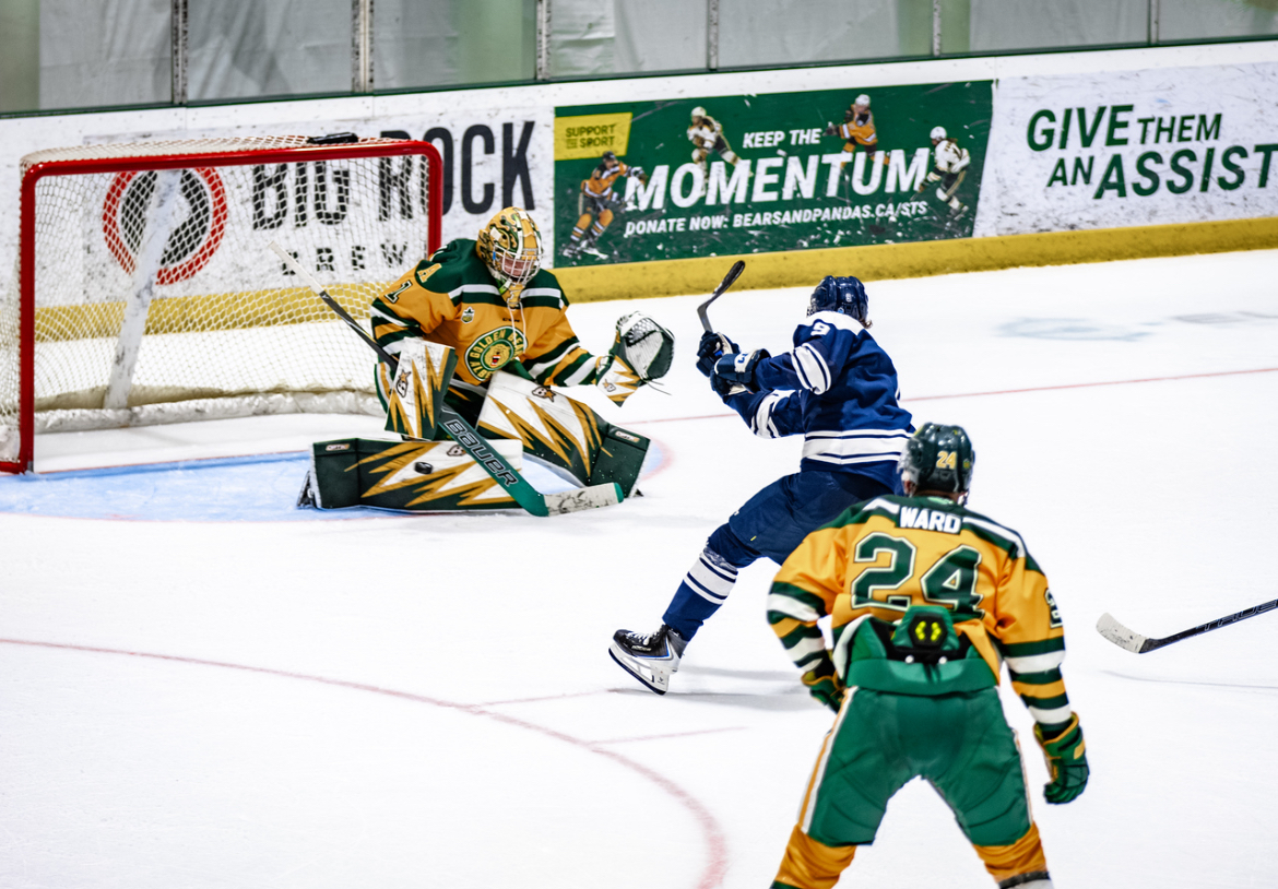 Goaltending action shot